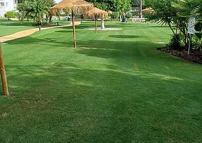 Zona ajardinada de una urbanización con césped cuidado
